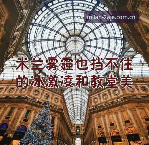 米兰官网CN登录入口评测：为什么我建议你先别急着点“登录”